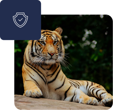 business-solutions-for-zoos business-solutions-for-zoos