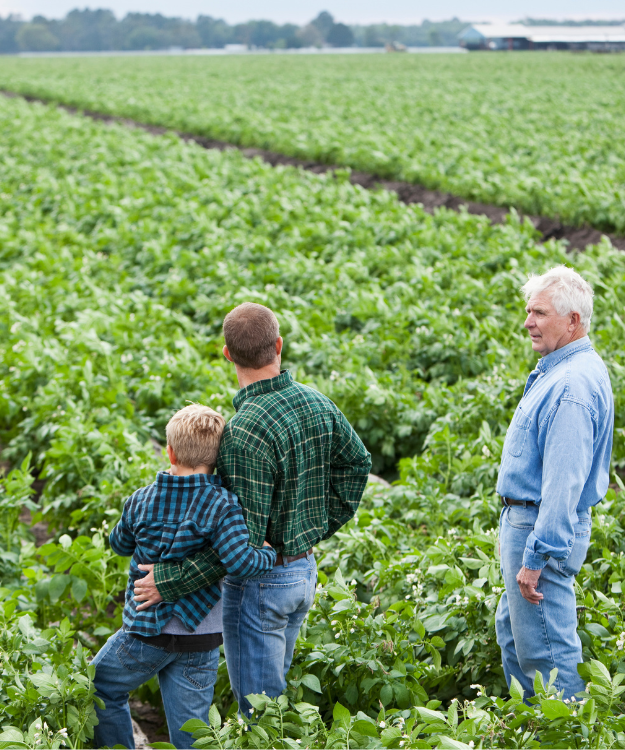 crm-solution-for-farming