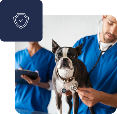 dynamics365-for-vets