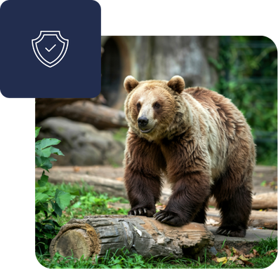 dynamics365-for-zoos